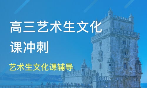 郑州艺术生文化课辅导 价格解析与机构对比